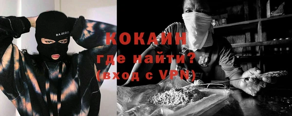 прущие грибы Бронницы