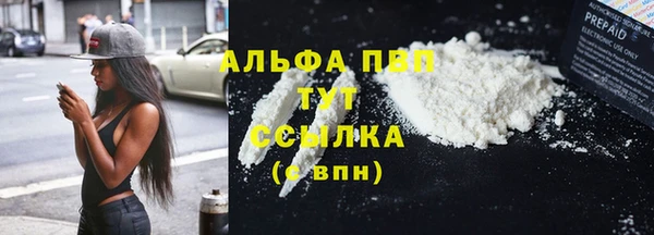 ПСИЛОЦИБИНОВЫЕ ГРИБЫ Богданович