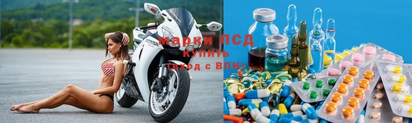 ПСИЛОЦИБИНОВЫЕ ГРИБЫ Богданович