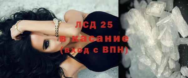 ПСИЛОЦИБИНОВЫЕ ГРИБЫ Богданович