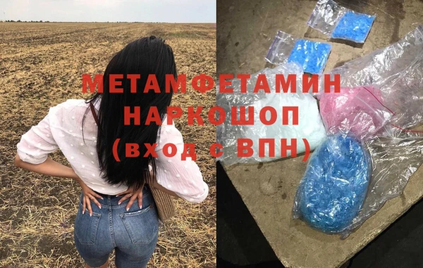 прущие грибы Иннополис