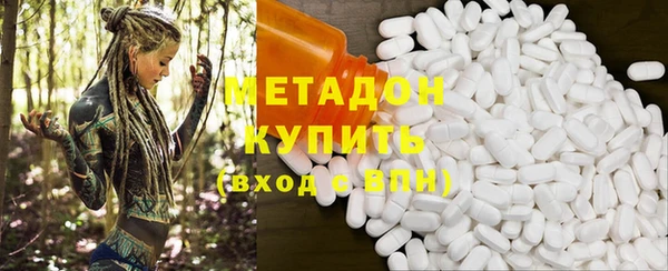 прущие грибы Бронницы