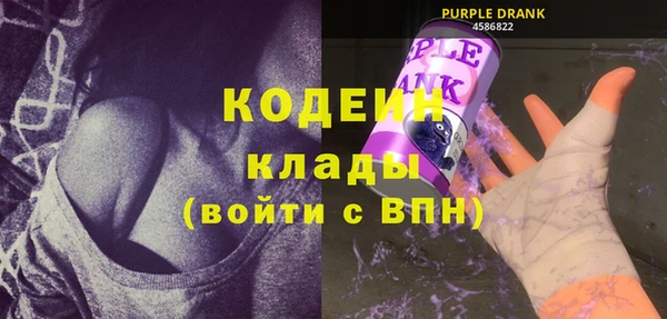 ПСИЛОЦИБИНОВЫЕ ГРИБЫ Богданович