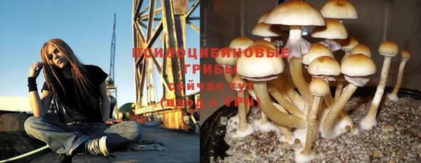 соль курить ск Богородицк