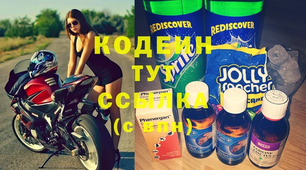 ПСИЛОЦИБИНОВЫЕ ГРИБЫ Богданович
