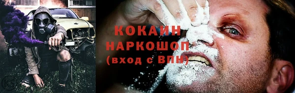 ПСИЛОЦИБИНОВЫЕ ГРИБЫ Богданович