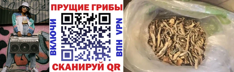 кракен tor  Горячий Ключ  Галлюциногенные грибы мицелий 